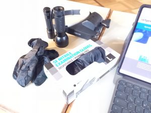 Begutachtung von Gemälden und Skulpturen Dipl.-Restaurator Univ. Georg F. R. Pracher